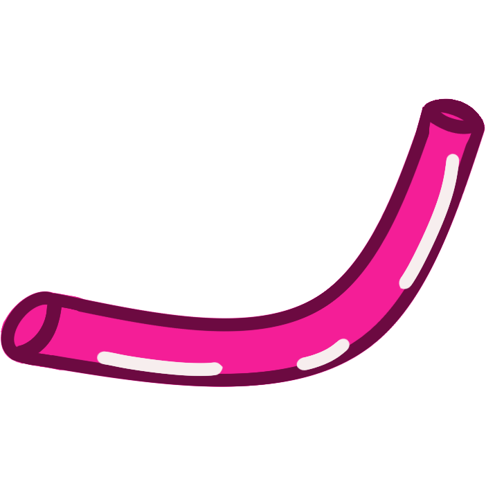 A bright pink, long, and curvy cylinder with white highlights.